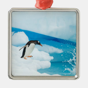 Adorno Metálico pingüino de gentoo, Pygoscelis Papua, saltando