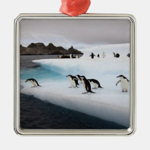 Adorno Metálico Pingüinos de Barbijo