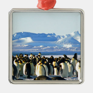 Adorno Metálico Pingüinos emperadores