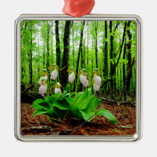 Adorno Metálico Pink Lady Slipper Wild Orchid