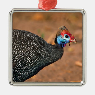 Adorno Metálico Pintada común (Numida meleagris). África,