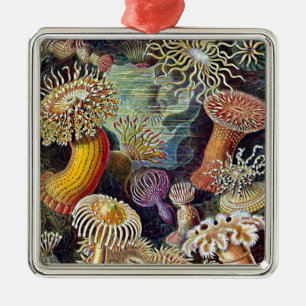Adorno Metálico Pintado de vida haeckel Sea Anemone Ocean Life