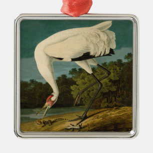 Adorno Metálico Pintura de pájaro de Crane Audubon