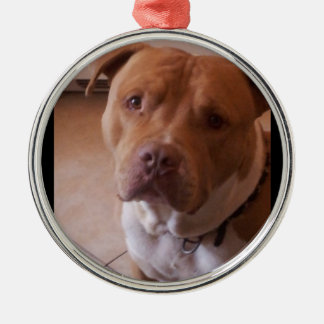 Adorno Metálico pitbull