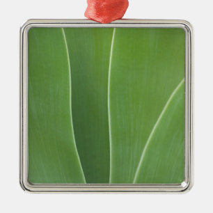 Adorno Metálico Planta de Agave de cerca