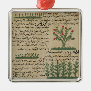 Adorno Metálico Plantas botánicas, ilustracion de 'The