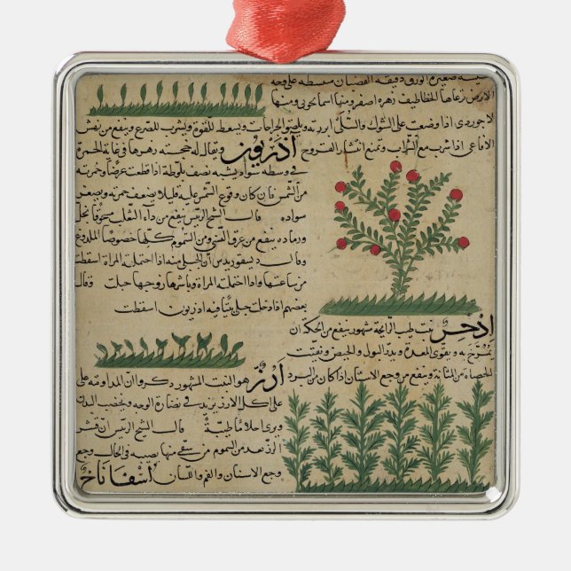 Adorno Metálico Plantas botánicas, ilustracion de 'The (Frente)