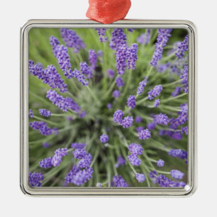 Adorno Metálico Plantas de lavanda