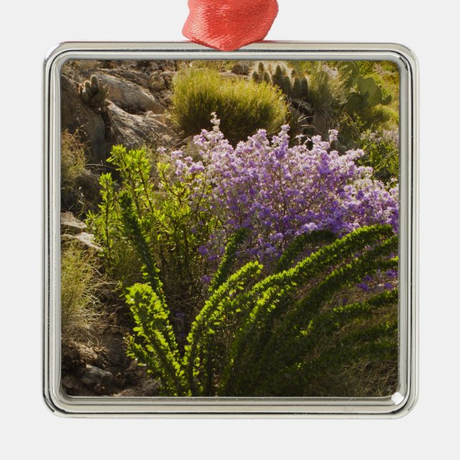 Adorno Metálico Plantas del desierto de Chihuahua en flor (Frente)