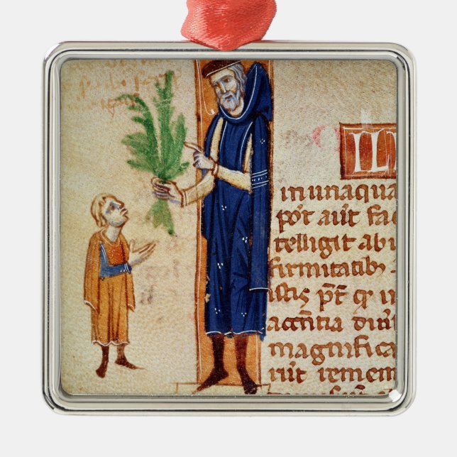 Adorno Metálico Plantas medicinales (Frente)