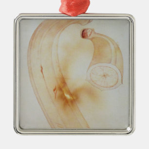 Adorno Metálico Plantón del Cuerno