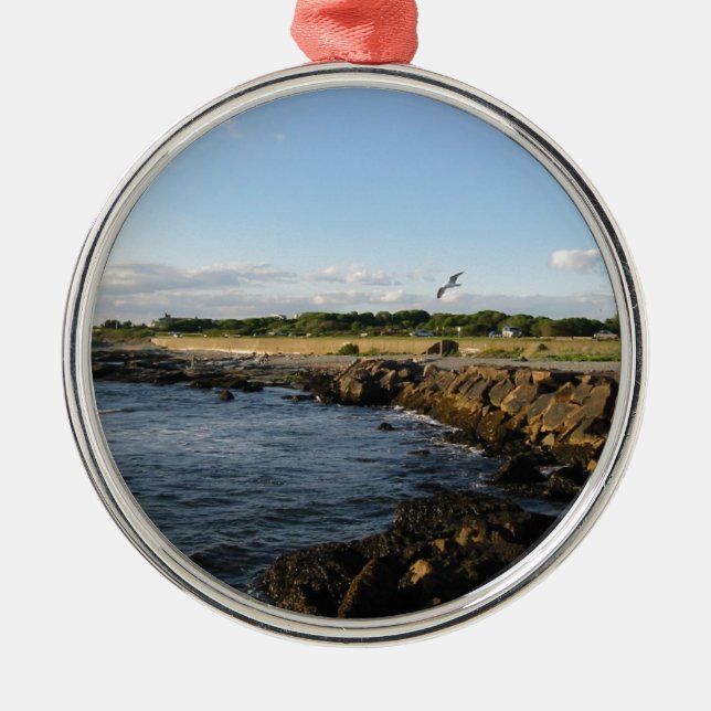 Adorno Metálico Playa de Newport (Frente)