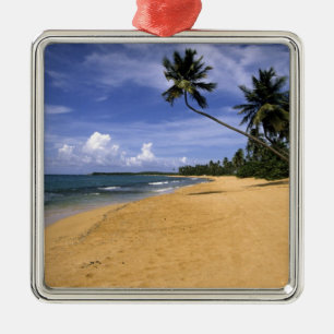 Adorno Metálico Playa Puerto Rico 2