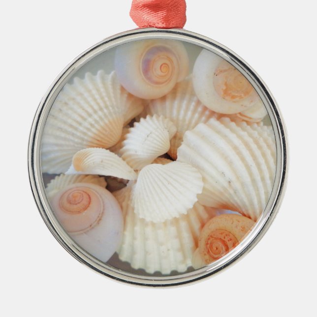 Adorno Metálico Playas de Verano en las Exóticas Estanques de Mar  (Frente)