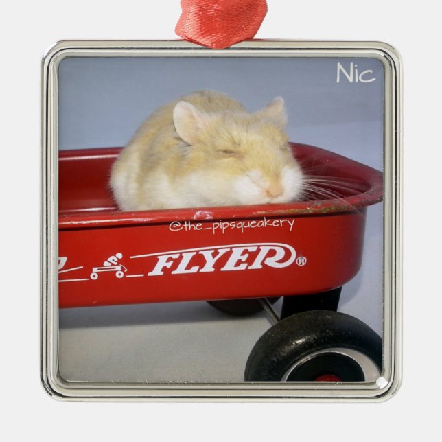 Adorno Metálico ¡Poco carro rojo! (Frente)