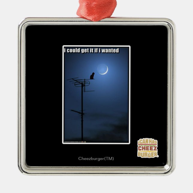 Adorno Metálico Podría conseguirlo si quise (Frente)