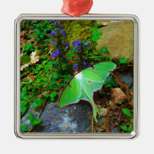 Adorno Metálico Polilla de Luna verde