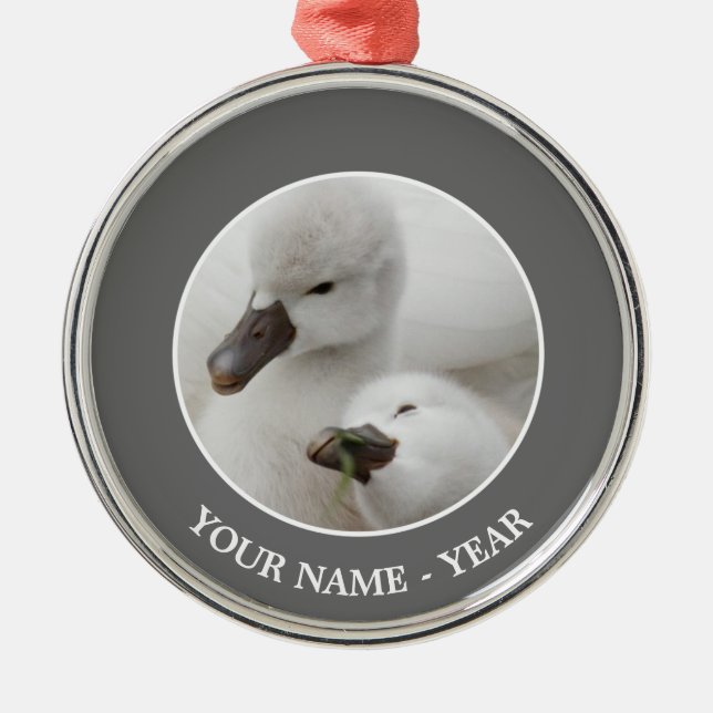 Adorno Metálico Pollos del cisne del cisne mudo (Frente)