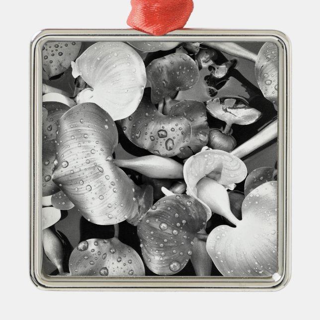 Adorno Metálico Pond Plants and Black and White (Frente)