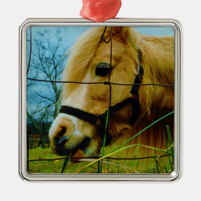 Adorno Metálico Pony en miniatura rubia / cielo azul de caballo (Frente)