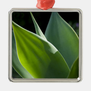 Adorno Metálico Portugal, Isla de Madeira, Funchal. Botánico