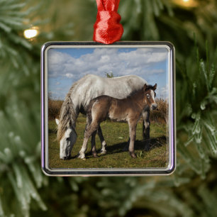 Adorno Metálico Potro de caballo de Camargue con madre