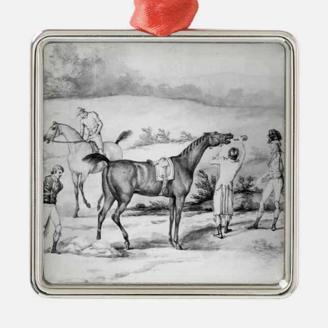 Adorno Metálico Preparación para una raza (Frente)