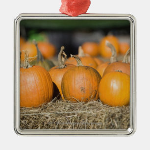 Adorno Metálico Primer de calabazas