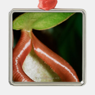 Adorno Metálico Primer de la planta de jarra