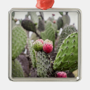Adorno Metálico Primer Plano De Cactus De Pera Espinosa