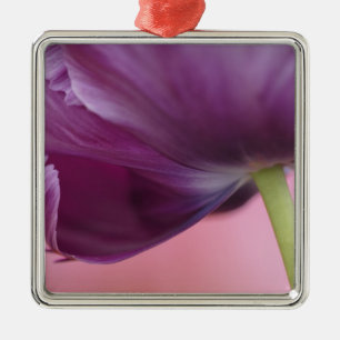 Adorno Metálico Primer plano del envés de la flor de tulipán, Kuek