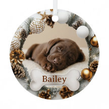 Primera Navidad Cachorro Adorable Perro Gato Foto