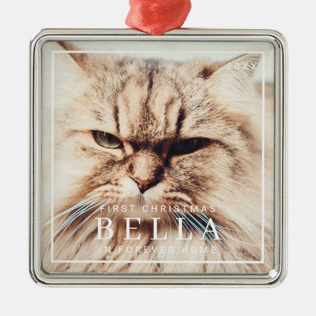 Adorno Metálico Primera Navidad mascota en festividad fotográfica  (Frente)