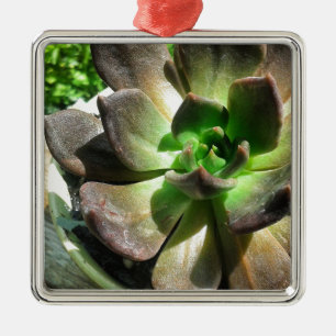Adorno Metálico Príncipe negro #succulento