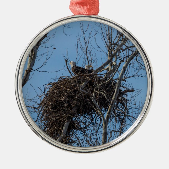 Adorno Metálico Problema del águila doble (Frente)