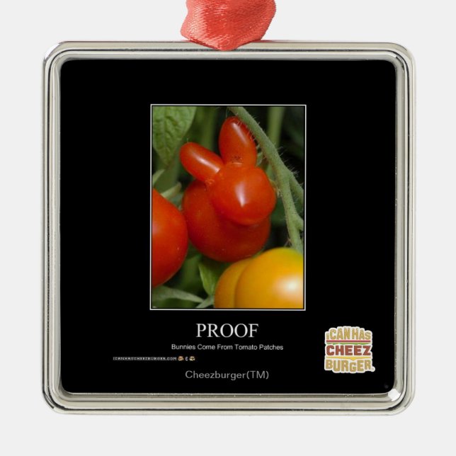 Adorno Metálico Prueba (Frente)