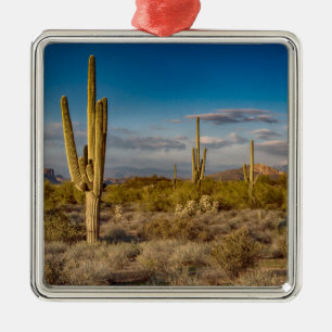 Adorno Metálico Puesta del sol del cactus en Arizona