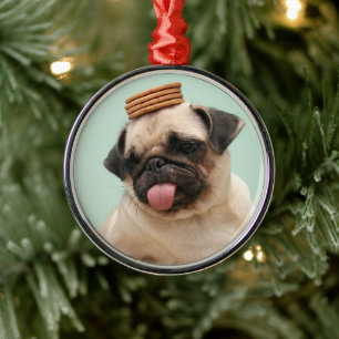 Adorno Metálico Pug quiere tratamientos