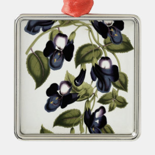 Adorno Metálico Pulcherrima asiatica de Torenia