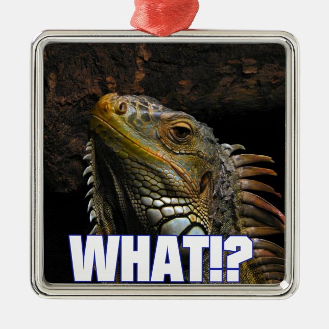 Adorno Metálico ¿¡Qué!? Iguana (Frente)