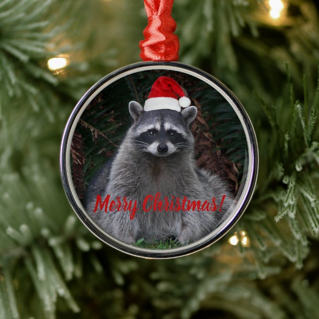 Adorno Metálico Raccoon navidad en Santa Hat Photo (Árbol)