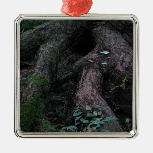 Adorno Metálico Raíces antiguas (Frente)