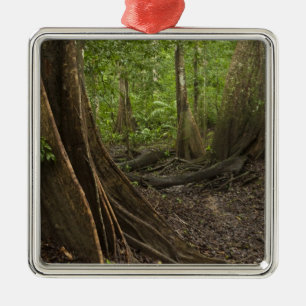 Adorno Metálico Raíces de Contrafuerte. Selva Tropical, Mapari Rup