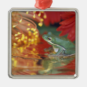 Adorno Metálico Rana y reflejos entre flores. Créditos como: