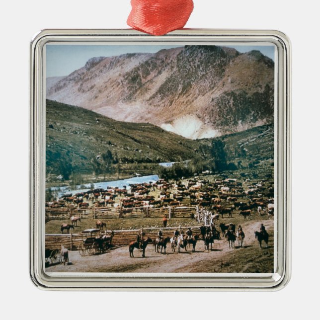 Adorno Metálico Rancho de ganado, Colorado, 1899 (foto) (Frente)