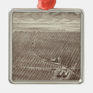 Adorno Metálico Rancho de la fruta de Chapin