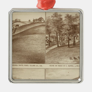 Adorno Metálico Ranchos de Tulare Co, oficinas