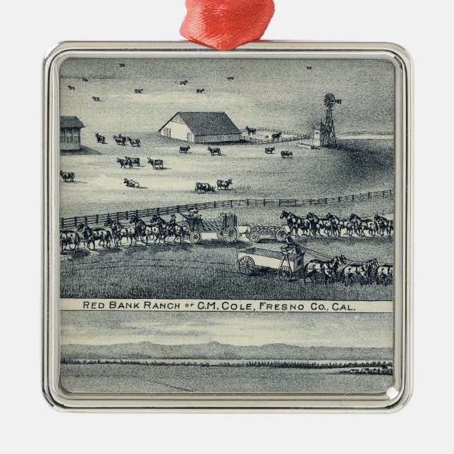 Adorno Metálico Ranuras de colores (Frente)