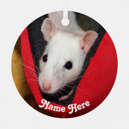 Adorno Metálico Rata Mascota de abdomen blanco personalizada