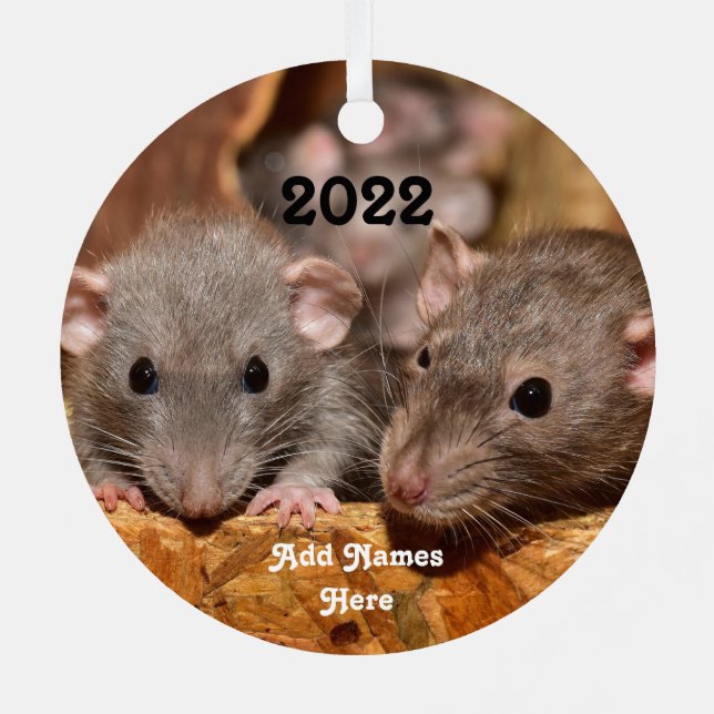 Adorno Metálico Ratas Mascotas Dumbo Gris Azul Personalizadas (Reverso )